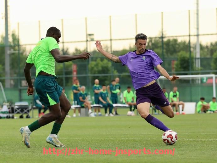 江南综合体育-意甲与德甲著名足球队实力与风格对比解析